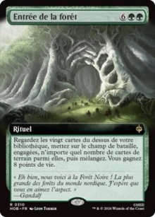 Entr�e de la for�t - The Hobbit