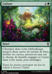 Culture - Secrets of Strixhaven Commander Decks