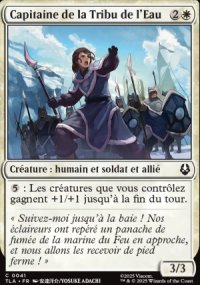 Capitaine de la Tribu de l'Eau - Avatar: The Last Airbender