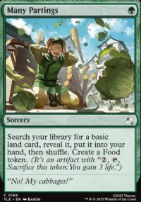 Many Partings - Avatar: The Last Airbender Eternal-Legal