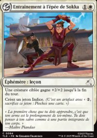 Entranement  l'pe de Sokka - Avatar: The Last Airbender Eternal-Legal