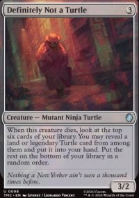 Definitely Not a Turtle - Teenage Mutant Ninja Turtles Eternal Legal