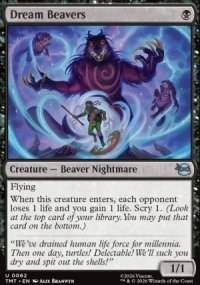 Dream Beavers - Teenage Mutant Ninja Turtles