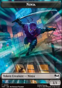 Ninja - Teenage Mutant Ninja Turtles