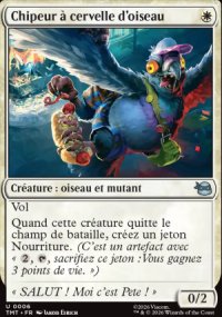 Chipeur � cervelle d'oiseau - Teenage Mutant Ninja Turtles