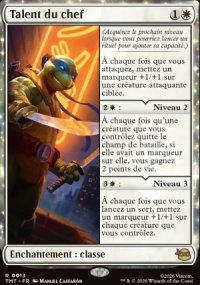 Talent du chef - Teenage Mutant Ninja Turtles