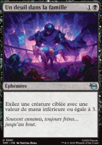 Un deuil dans la famille - Teenage Mutant Ninja Turtles