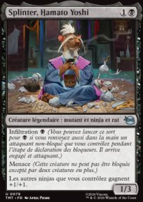 Splinter, Hamato Yoshi - Teenage Mutant Ninja Turtles