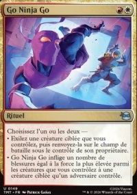 Go Ninja Go - Teenage Mutant Ninja Turtles