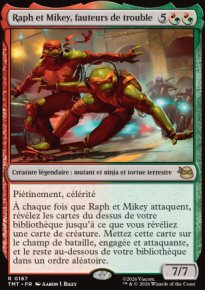 Raph et Mikey, fauteurs de trouble - Teenage Mutant Ninja Turtles