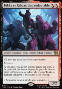 Tokka et Rahzar, duo redoutable - Teenage Mutant Ninja Turtles